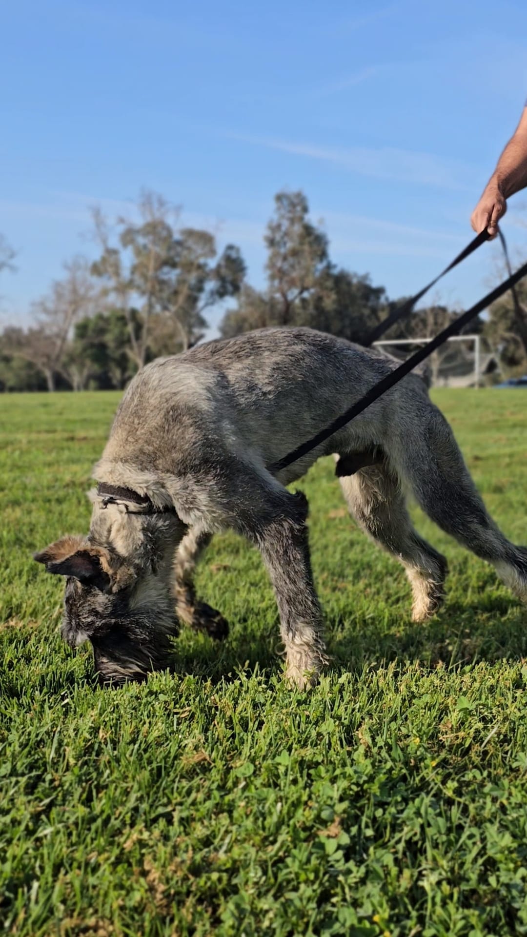 WhatsApp Image 2026-02-16 at 6.48.12 AM