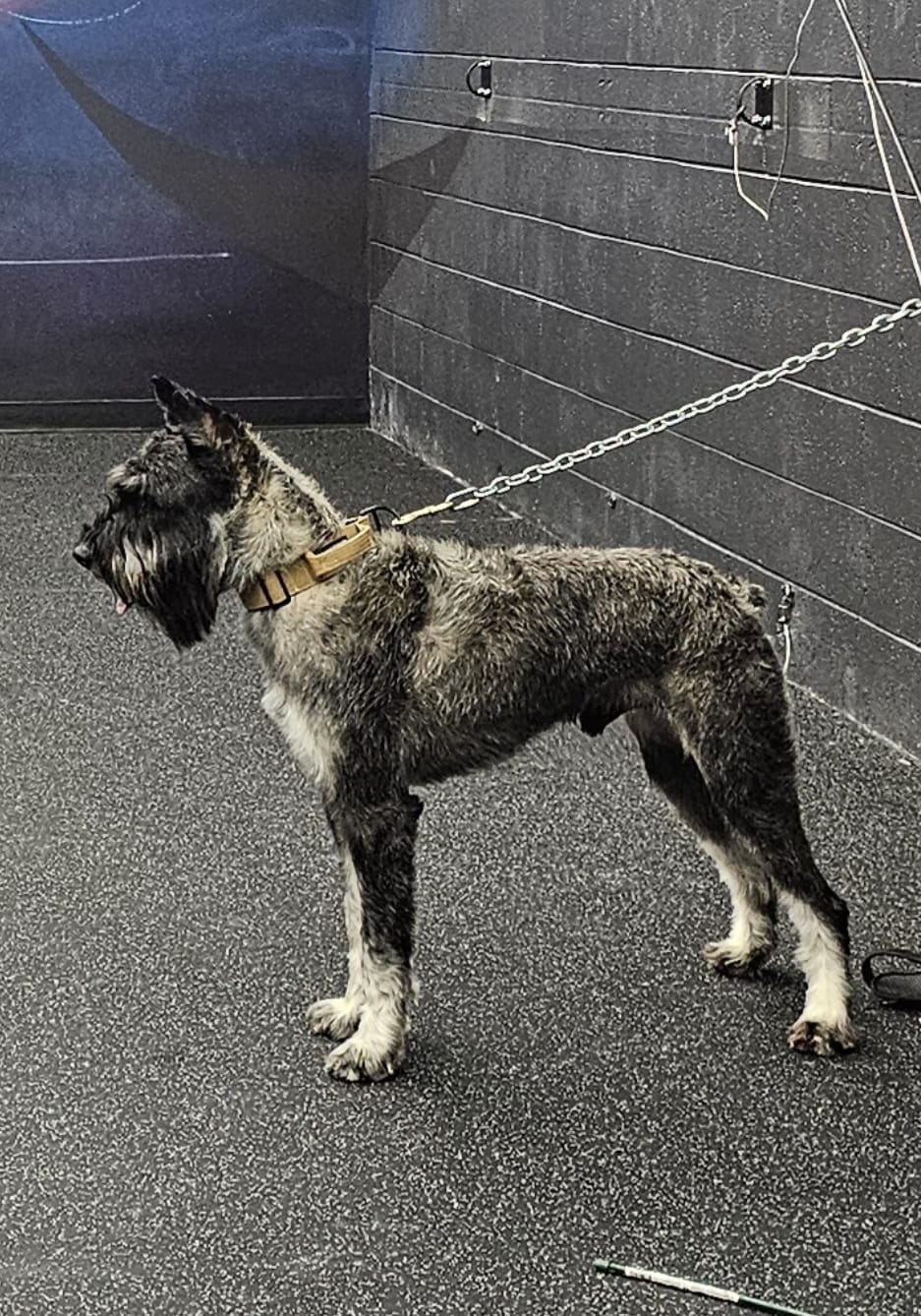 WhatsApp Image 2026-02-16 at 6.48.28 AM