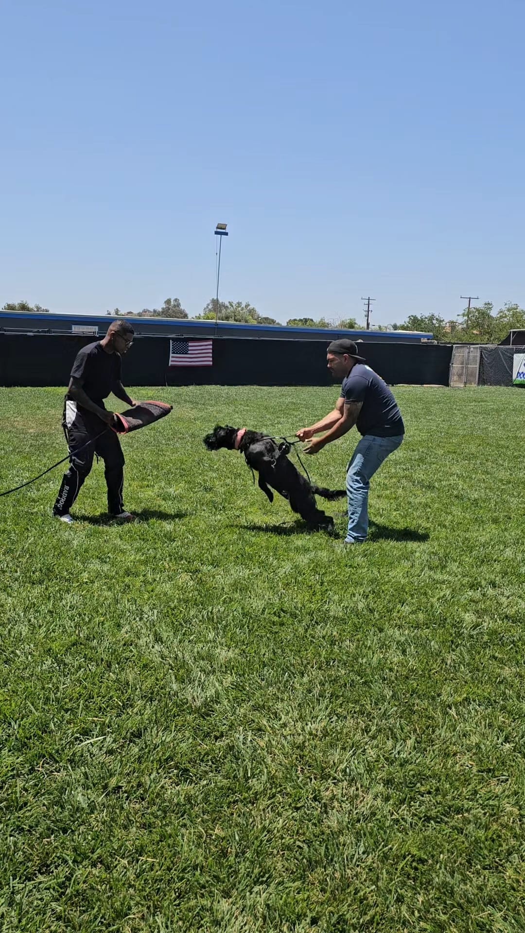 WhatsApp Image 2026-02-16 at 6.51.16 AM