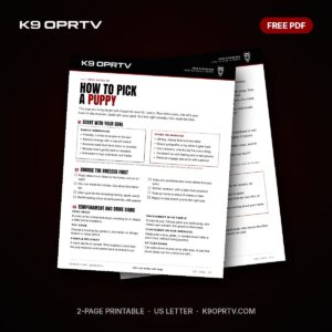 How to Pick a Puppy Checklist: free printable PDF from K9OPRTV, page preview mockup